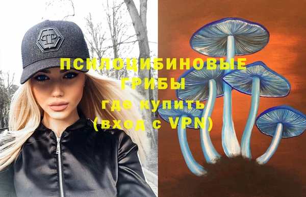 бошки Балахна