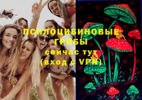 бошки Балахна