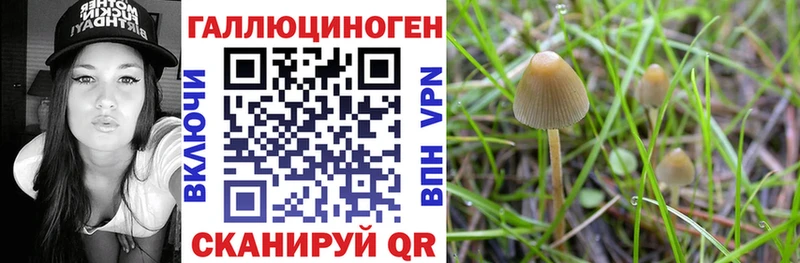 Галлюциногенные грибы прущие грибы  ссылка на мегу зеркало  Заречный 